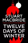 Twelve Days of Winter cover