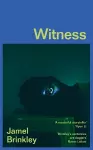 Witness cover