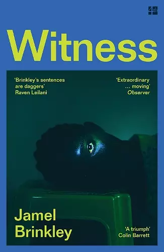 Witness cover