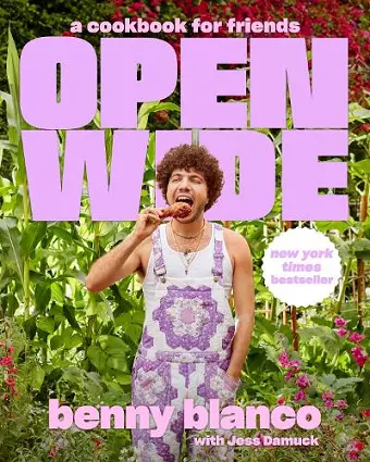 Open Wide : A Cookbook for Friends cover