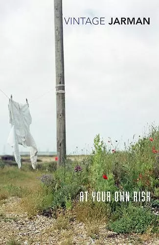 At Your Own Risk cover