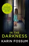 In the Darkness cover