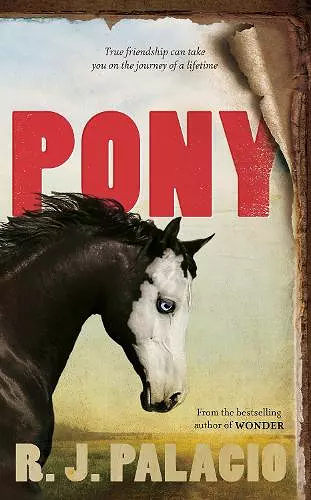 Pony cover