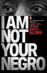 I Am Not Your Negro cover