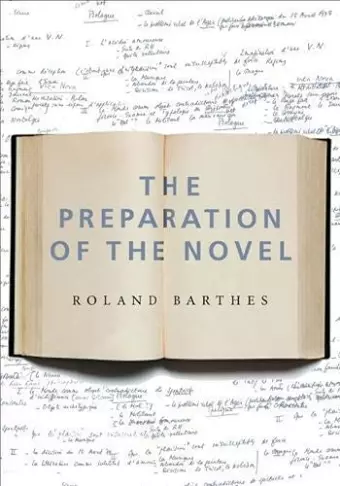 The Preparation of the Novel cover