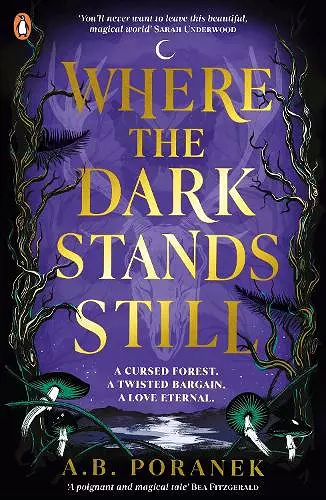 Where the Dark Stands Still cover