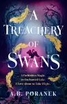 A Treachery of Swans cover