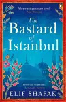 The Bastard of Istanbul cover