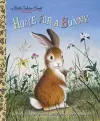 Home for a Bunny cover