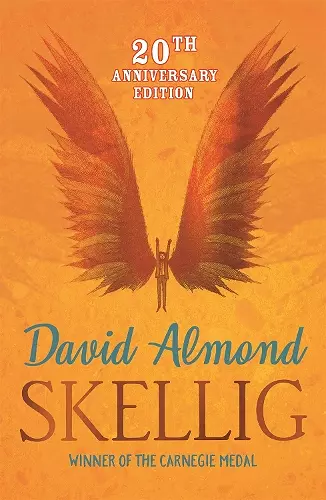 Skellig cover