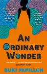 An Ordinary Wonder cover