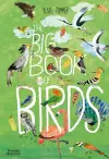 The Big Book of Birds cover