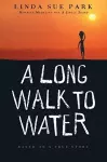 A LONG WALK TO WATER cover