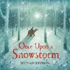 Once Upon a Snowstorm cover