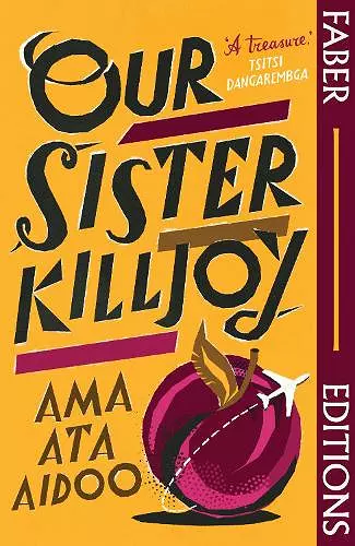 Our Sister Killjoy (Faber Editions) cover