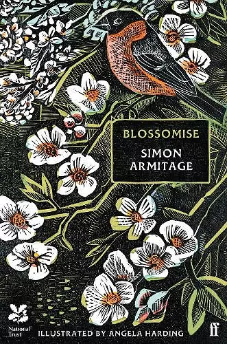 Blossomise cover