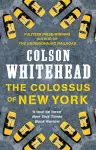 The Colossus of New York cover