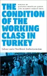 The Condition of the Working Class in Turkey cover