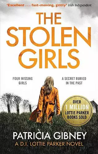 The Stolen Girls cover