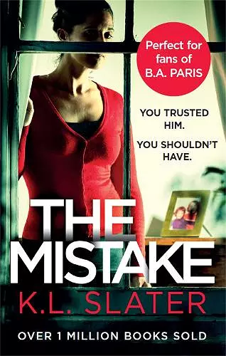 The Mistake cover