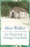 The Third Life of Grange Copeland cover