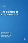 The Practice of Cultural Studies cover