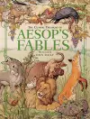 The Classic Treasury Of Aesop's Fables cover