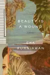 Beauty Is a Wound cover