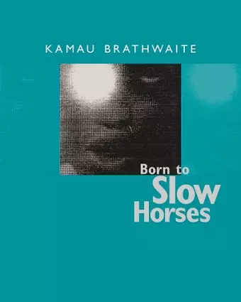 Born to Slow Horses cover