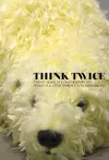 Think Twice: Twenty Years of Contemporary Art from Collection Sandretto Re Rebaudengo cover