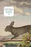 The Rabbit Between Us cover