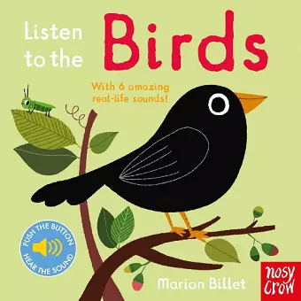 Listen to the Birds cover