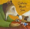 Oidhche Mhath, Sam cover