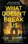 What Doesn't Break Us cover