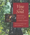 Vine of the Soul cover