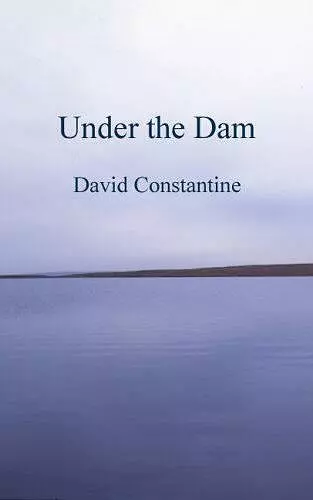 Under the Dam cover