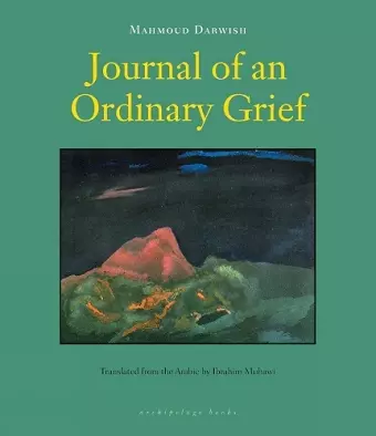 Journal of an Ordinary Grief cover