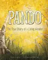 Pando cover