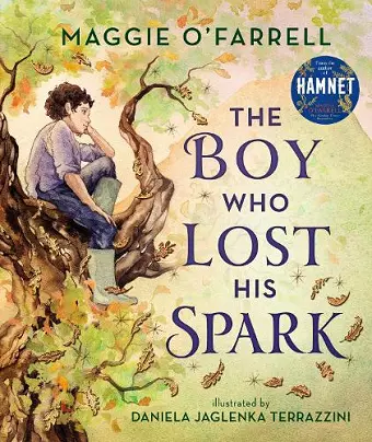 The Boy Who Lost His Spark cover