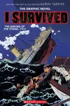 I Survived the Sinking of the Titanic, 1912 cover