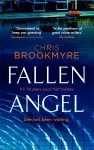 Fallen Angel cover