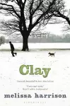 Clay cover