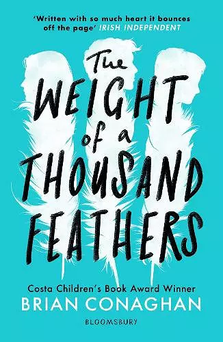 The Weight of a Thousand Feathers cover