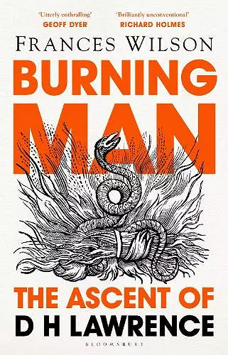 Burning Man cover