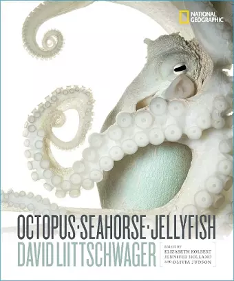 Octopus, Seahorse, Jellyfish cover