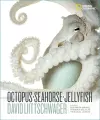 Octopus, Seahorse, Jellyfish cover