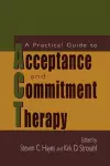 A Practical Guide to Acceptance and Commitment Therapy cover