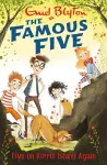 Famous Five: Five On Kirrin Island Again cover