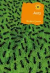 Ants cover