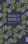 NIV Holy Bible (Hodder Classics) cover